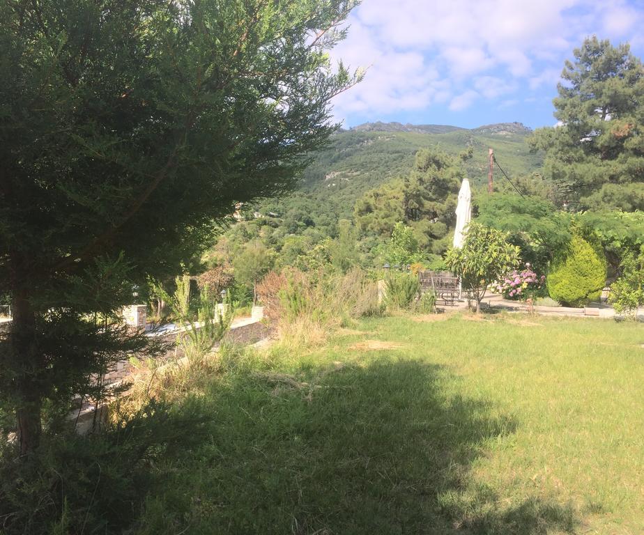 Menir Luxury Prinos (Thasos)