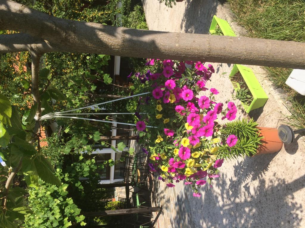 Menir Luxury Prinos (Thasos)
