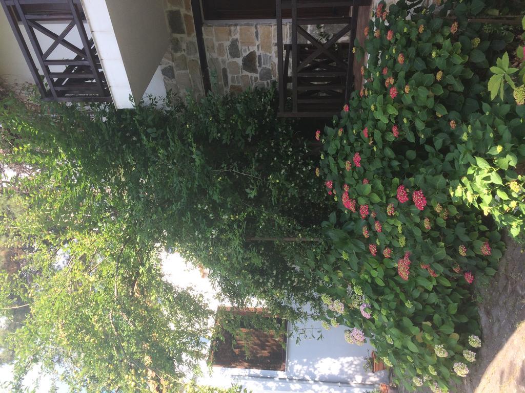Apartment Menir Luxury Prinos (Thasos)
